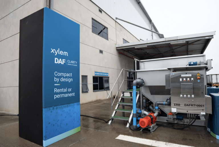 xylem