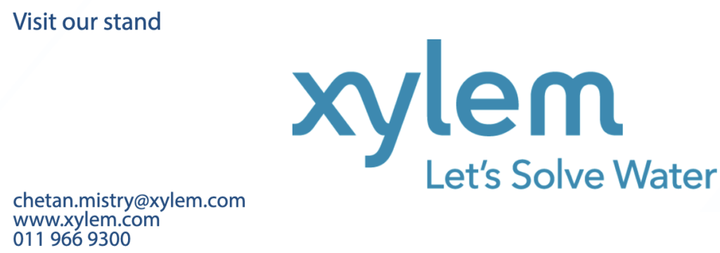 xylem